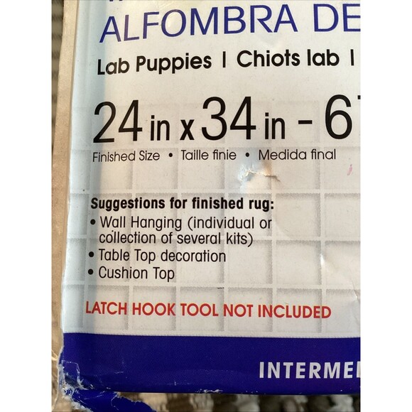 Caron Wonderart Latch Hook Kit 24"X34" Lab Puppies #426166 Vintage New In Box - Picture 13 of 14
